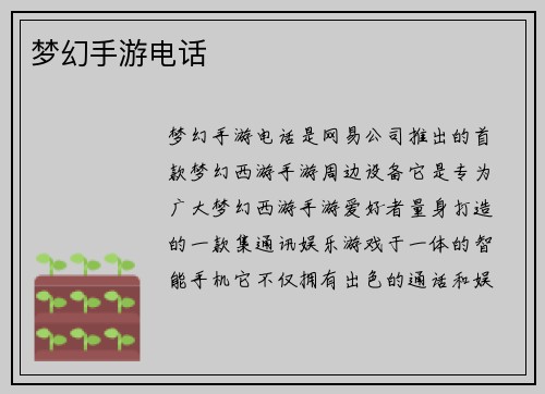 梦幻手游电话